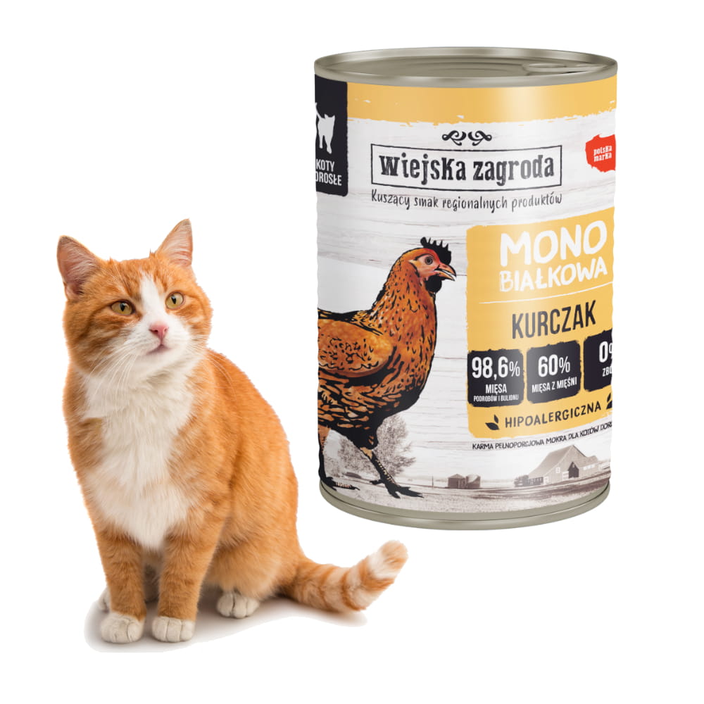 1688 kot.jpg